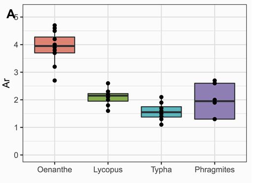Figure 2: Genetic parameters of the analyzed populations of Oenanthe aquatica, Lycopus europaeus, Typha latifolia, and Phragmites australis. Genetic diversity measured as allelic richness.